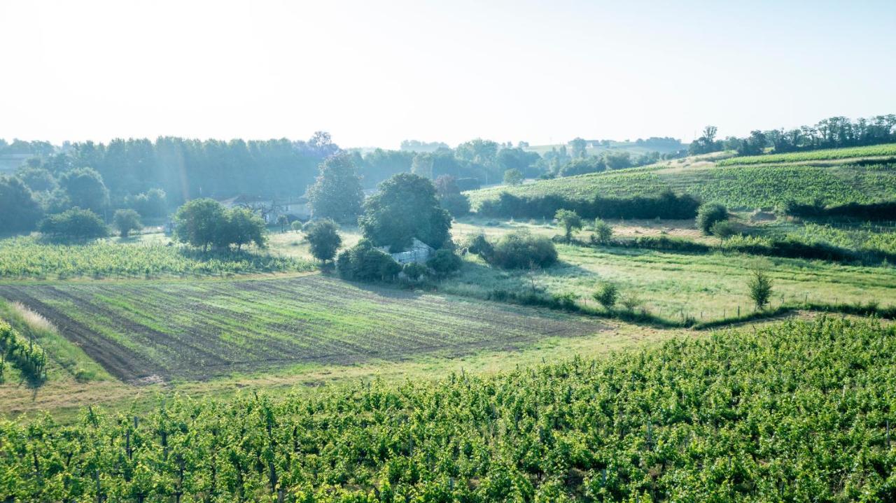 Suite Campagnarde Pres Bordeaux, Vue Sur Les Vignes Au Chateau Camponac Bourg-sur-Gironde ภายนอก รูปภาพ
